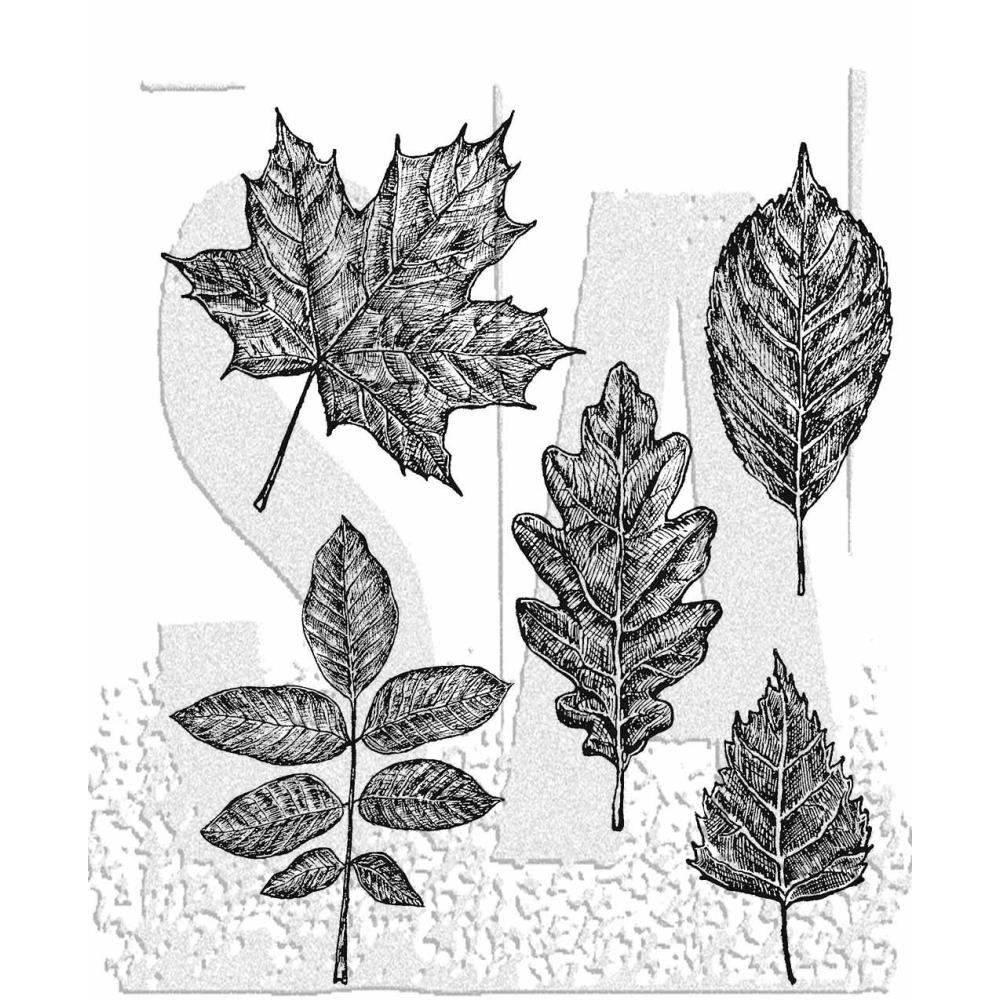 TH STAMP SET: Sketchy Leaves